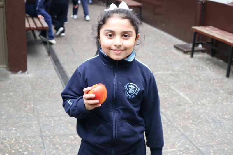 Día de la Actividad Física